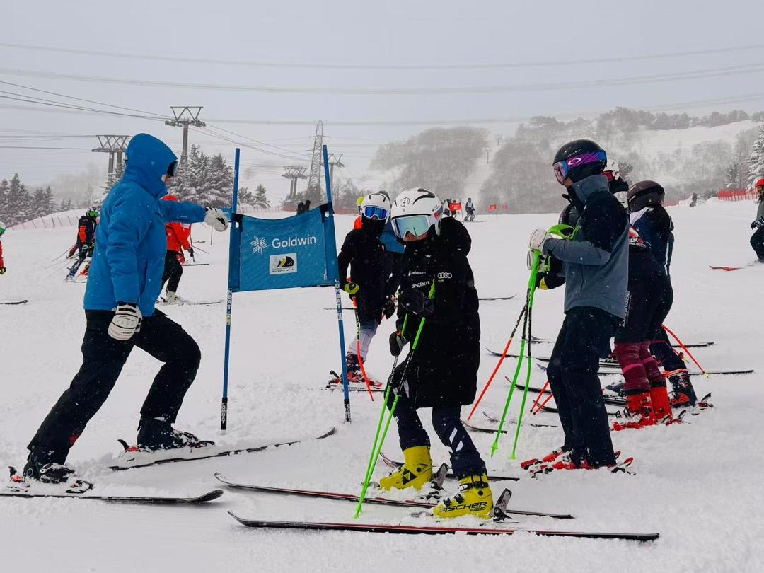 20250221goldwinchi | sa-hk